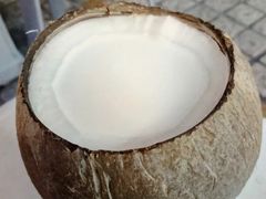 -椰爺爺·椰子冻砵仔糕