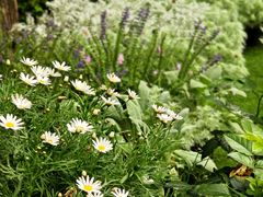 -BOCATA 西班牙餐厅(三里屯店)