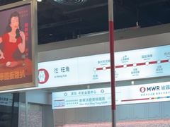 -敏华冰厅(平安金融中心店)