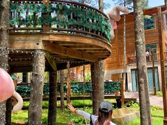 -洛阳白云山景区