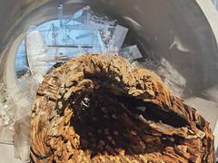 -上海当代艺术博物馆