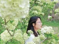 -羊山湖公园