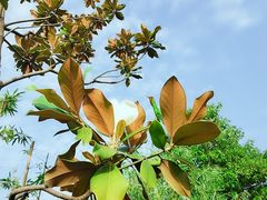 -百时快捷酒店(武汉江滩南京路店)