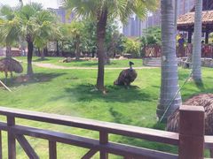 -灵玲国际马戏城