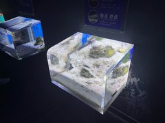 -江和美海洋公园