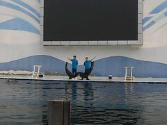 -北戴河圣蓝海洋公园