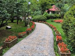 -庐山风景区花径公园