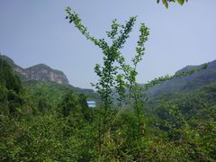 -焦作青龙峡风景名胜区