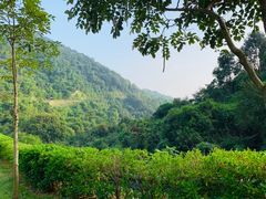-火炉山森林公园