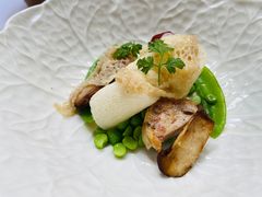 -蝶舍·MAISON PAPILLON