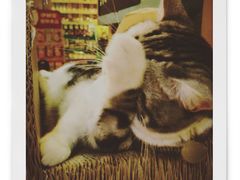 -小时光咖啡馆(开森度假森林店)