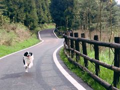 -武陵山森林公园