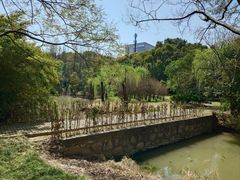 -上海中医药大学附属曙光医院(东部)