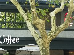 -Peet's 皮爷咖啡(东湖路手作店)