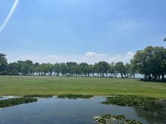 -杭州西湖柳莺里酒店·闻莺厅