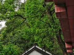 -浙江省博物馆(孤山馆区)