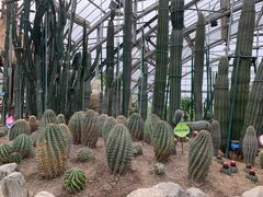 -南山植物园