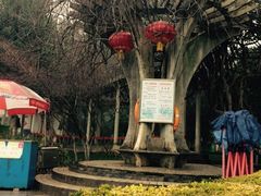 -赭山公园