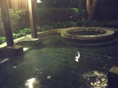 -杭州第一世界大酒店·云曼温泉