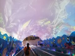 -成都浩海立方海洋公园