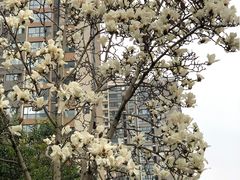 -唐城墙遗址公园