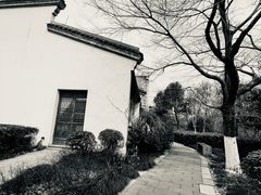 -杭州市第三人民医院