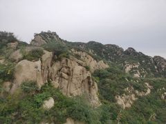 -大岭沟猕猴桃谷风景区
