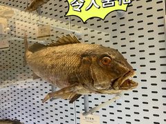 -浙江自然博物院(杭州馆)