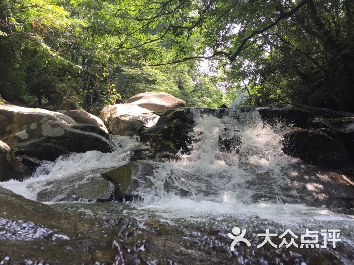 大圍山國家森林公園-圖片-瀏陽周邊遊-大眾點評網