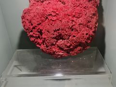 -天津自然博物馆