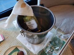 -新加坡文华东方酒店