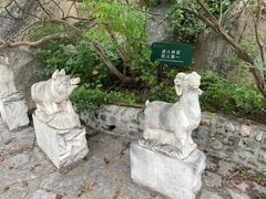 -北京凤凰岭