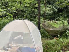 -玉渡山自然风景区