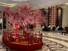 -常州武进九洲喜来登酒店