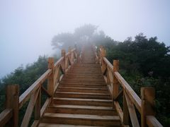 -大岭沟猕猴桃谷风景区