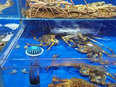 -船梆煮•蒸汽海鲜·生腌干蒸(五四广场店)
