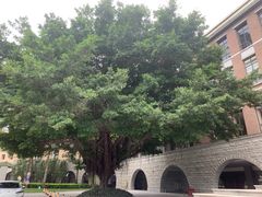 -平安（深圳）金融教育培训中心