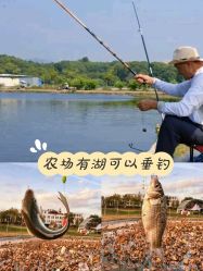 -268童话露营营地·烧烤·团建
