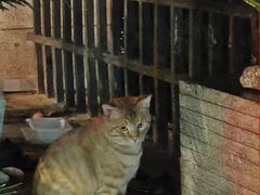 -COMMUNE幻师(五角场店)