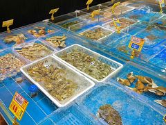 -綱元·海鲜豆捞(明州里店)