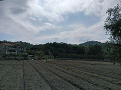 -红山村