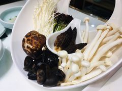 -洪氏嗨捞·猪肚鸡火锅(阳光天地店)
