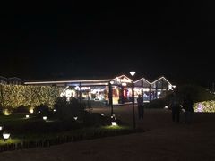 -莫子山公园