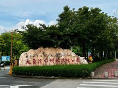-大亚湾红树林城市湿地公园