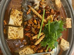 香辣豆腐花味烤鱼-探炉·香辣豆花烤鱼(笋岗宝能环球汇店)