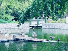 -北京市海淀外国语实验学校