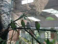 -南宫五洲植物乐园