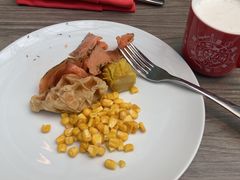 -新加坡瑞士史丹福酒店