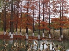 -白塘生态植物园