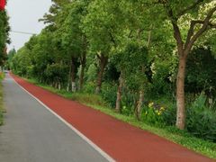 -上海长兴岛郊野公园